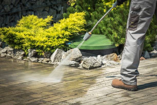 Best Pre-Holiday Cleaning  in Fairview, NY
